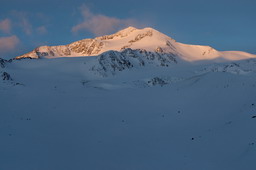DSC_8173proc_raw.jpg