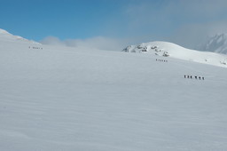 DSC_8213proc_raw.jpg