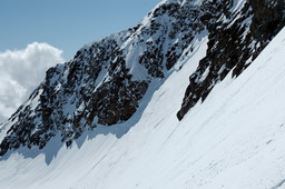 DSC_8239proc_raw.jpg