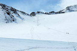 DSC_8245proc_raw.jpg