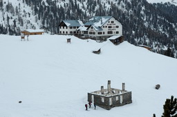 DSC_8251proc_raw.jpg