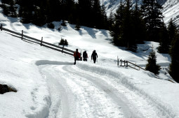 DSC_0026_recweb.jpg