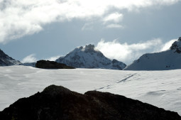 DSC_0057_recweb.jpg