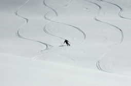 DSC_0157_recweb.jpg