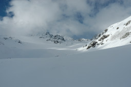 DSC_0217web.jpg