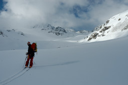 DSC_0218web.jpg