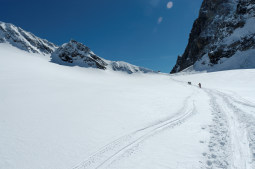 DSC_0274web.jpg
