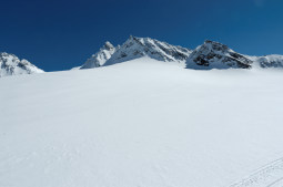 DSC_0275web.jpg