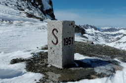 DSC_0278web.jpg