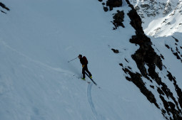 DSC_0305web.jpg