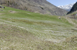 _DSC2398web.jpg