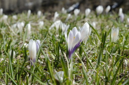_DSC2403web.jpg