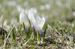 _DSC2417web.jpg