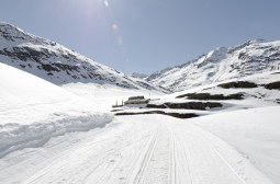 _DSC2419web.jpg