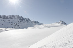 _DSC2448web.jpg