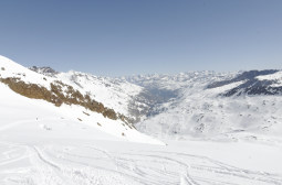_DSC2450web.jpg