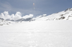 _DSC2483web.jpg
