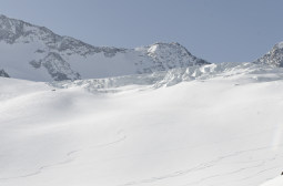 _DSC2485web.jpg