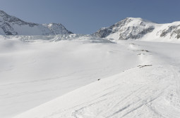 _DSC2486web.jpg
