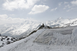 _DSC2556web.jpg