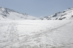 _DSC2659web.jpg