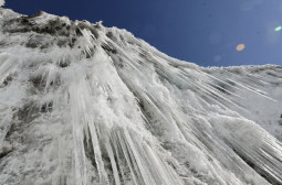 _DSC2687web.jpg