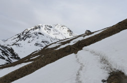 _DSC2725web.jpg