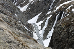 _DSC2733web.jpg