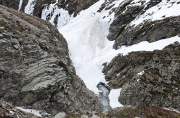 _DSC2735web.jpg